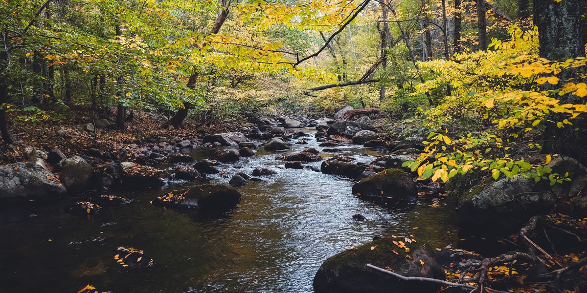 mountain stream
