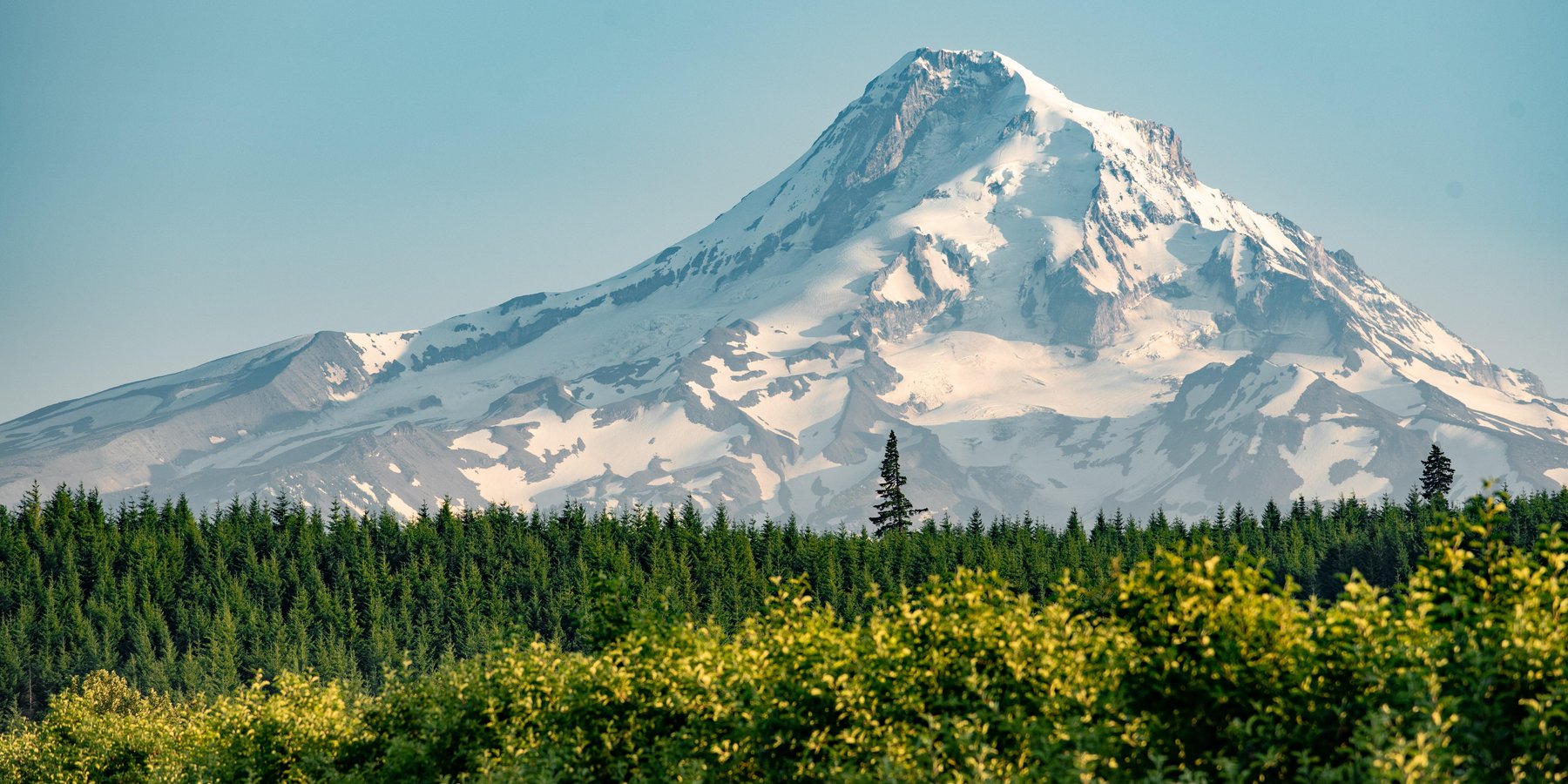 Mt hood in the springtime