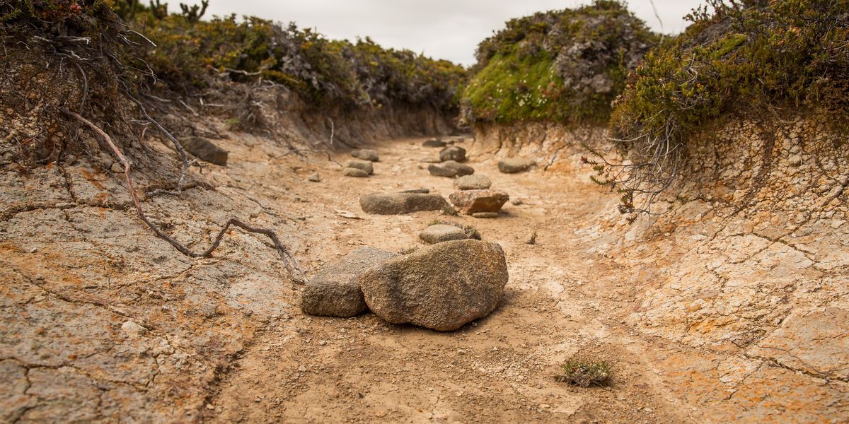 rocks in a dried creek bed